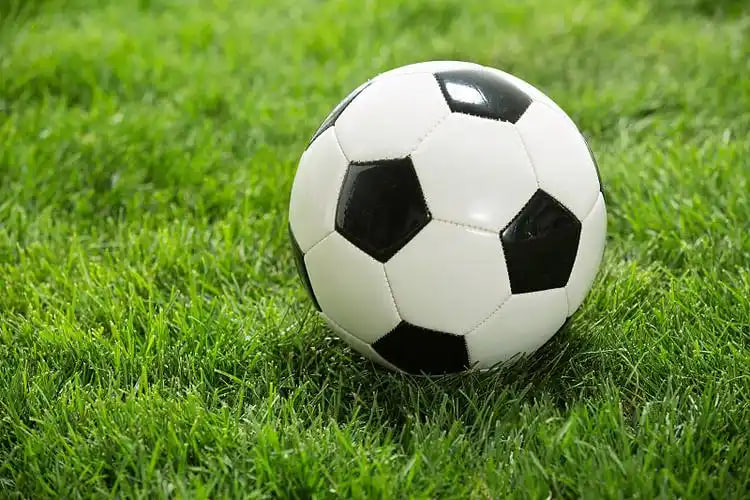 足彩21055期比赛结果查询平台